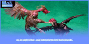 Đá Gà Trực Tuyến