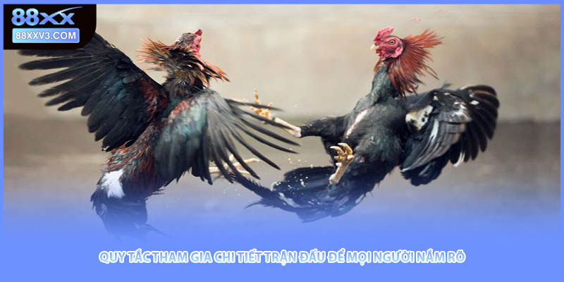 Quy tắc tham gia chi tiết trận đấu để mọi người nắm rõ 